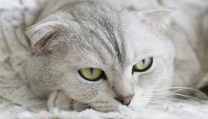 玉溪伴游，定制QQ：3494206190微信：act1322