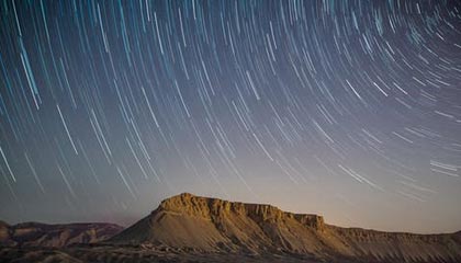 伴游服务的特点